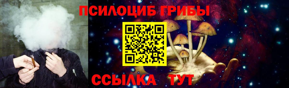 Галлюциногенные грибы прущие грибы Анапа